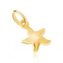 Prívesok v žltom 9K zlate - trblietavá gravírovaná morská hviezdica 