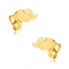 Zlaté puzetové náušnice 375 - ligotavý maličký sloník