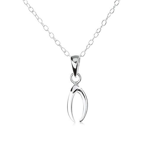 Strieborný náhrdelník 925, retiazka s oválnymi očkami, malá podkova