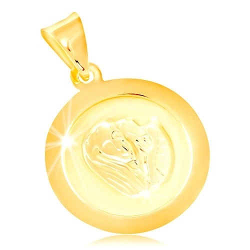 E-shop Šperky Eshop - Prívesok v žltom 14K zlate, okrúhla známka s Pannou Máriou S2GG212.11