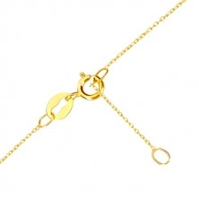 Zlatý náhrdelník 585 - kontúra malého súmerného srdiečka, tenká retiazka