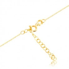 Zlatý náhrdelník 585 - lesklá obruč a vertikálny pás, jemná retiazka