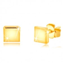 Náušnice zo žltého zlata 375 - zrkadlovolesklý štvorček, puzetky