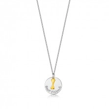 Strieborný náhrdelník 925 - plochý krúžok, nápis "Best Friends ", psia kostička v zlatej farbe